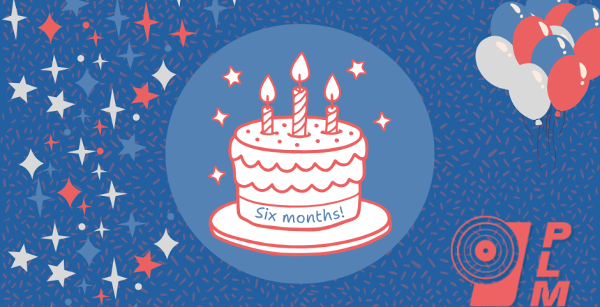 PLM Blog - Six months (1)